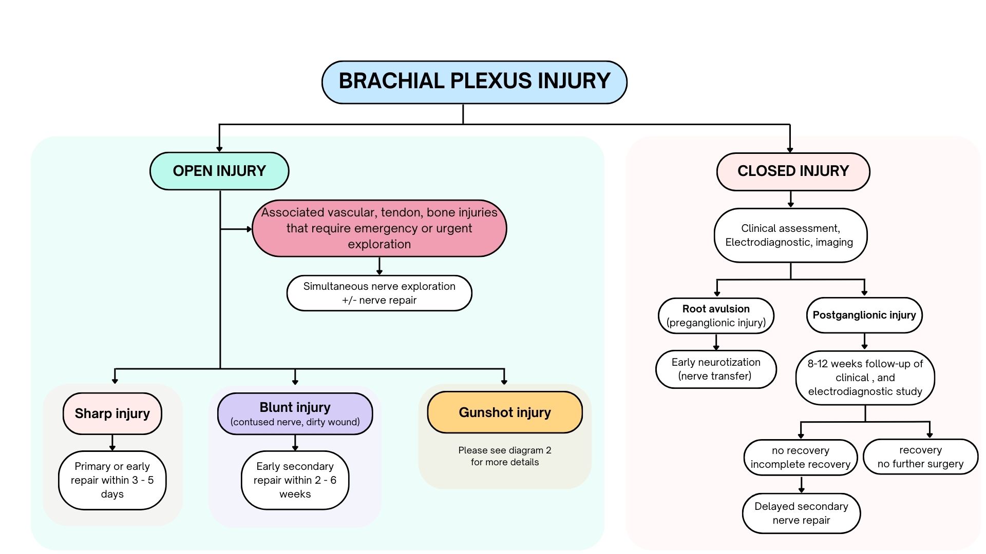 Understanding Brachial Plexus Injury: A Patient Guide to diagnosis and ...