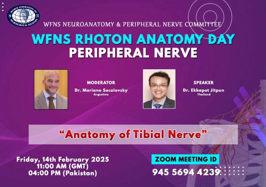 Valentine’s Evening Well Spent: Sharing Knowledge at WFNS Rhoton Anatomy&nbsp;Day